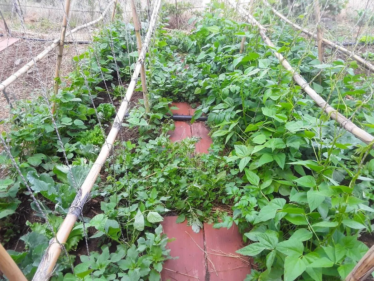 منزل الضيف Ecoartejeda Cave House منزل ريفي تيخيدا